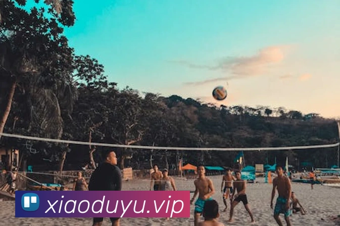 mk官网查询服务体系